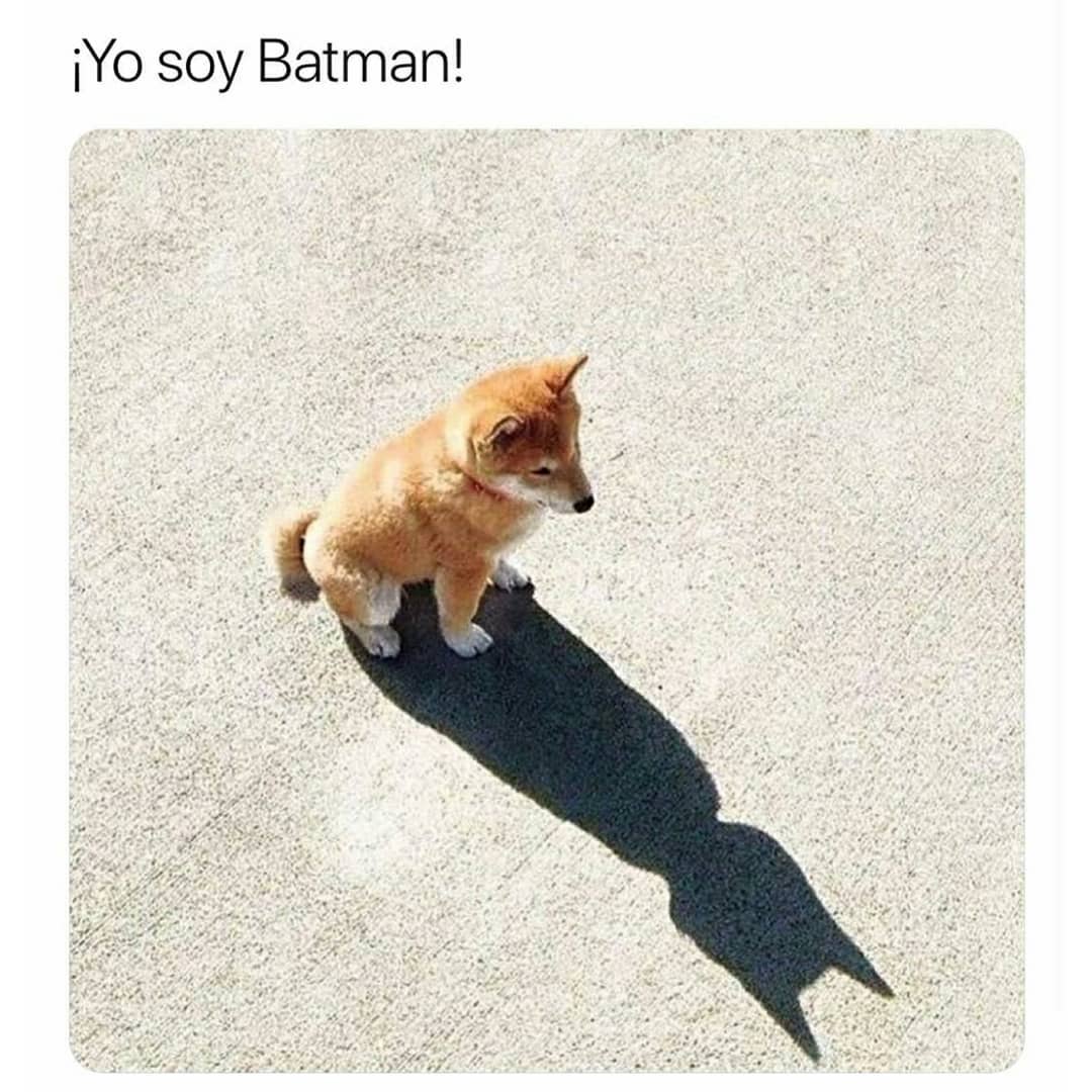 ¡Yo soy Batman!