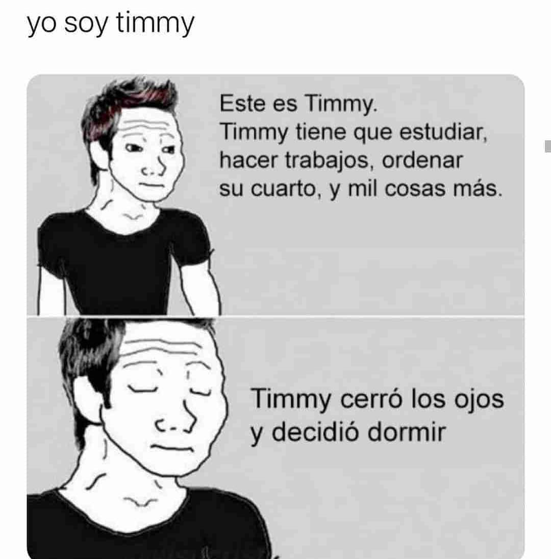 Yo soy Timmy.  Este es Timmy. Timmy tiene que estudiar, hacer trabajos, ordenar su cuarto, y mil cosas más.  Timmy cerró los ojos y decidió dormir.