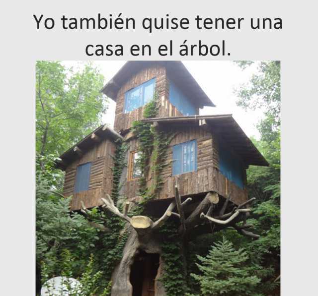 Yo también quise tener una casa en el árbol.