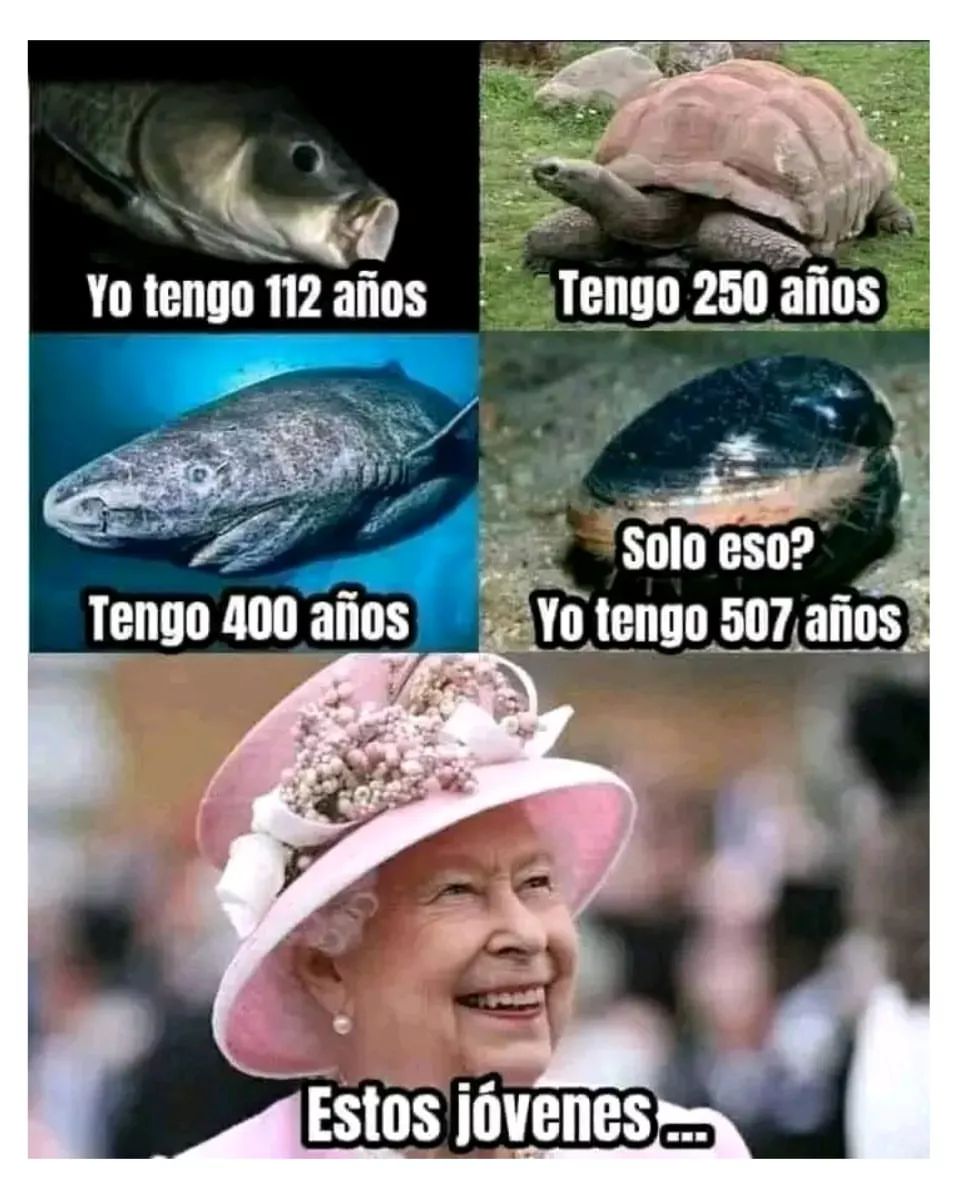 Yo tengo 112 años. Tengo 250 años. Tengo 400 años. Solo eso? Yo tengo 507 años. Estos jóvenes...