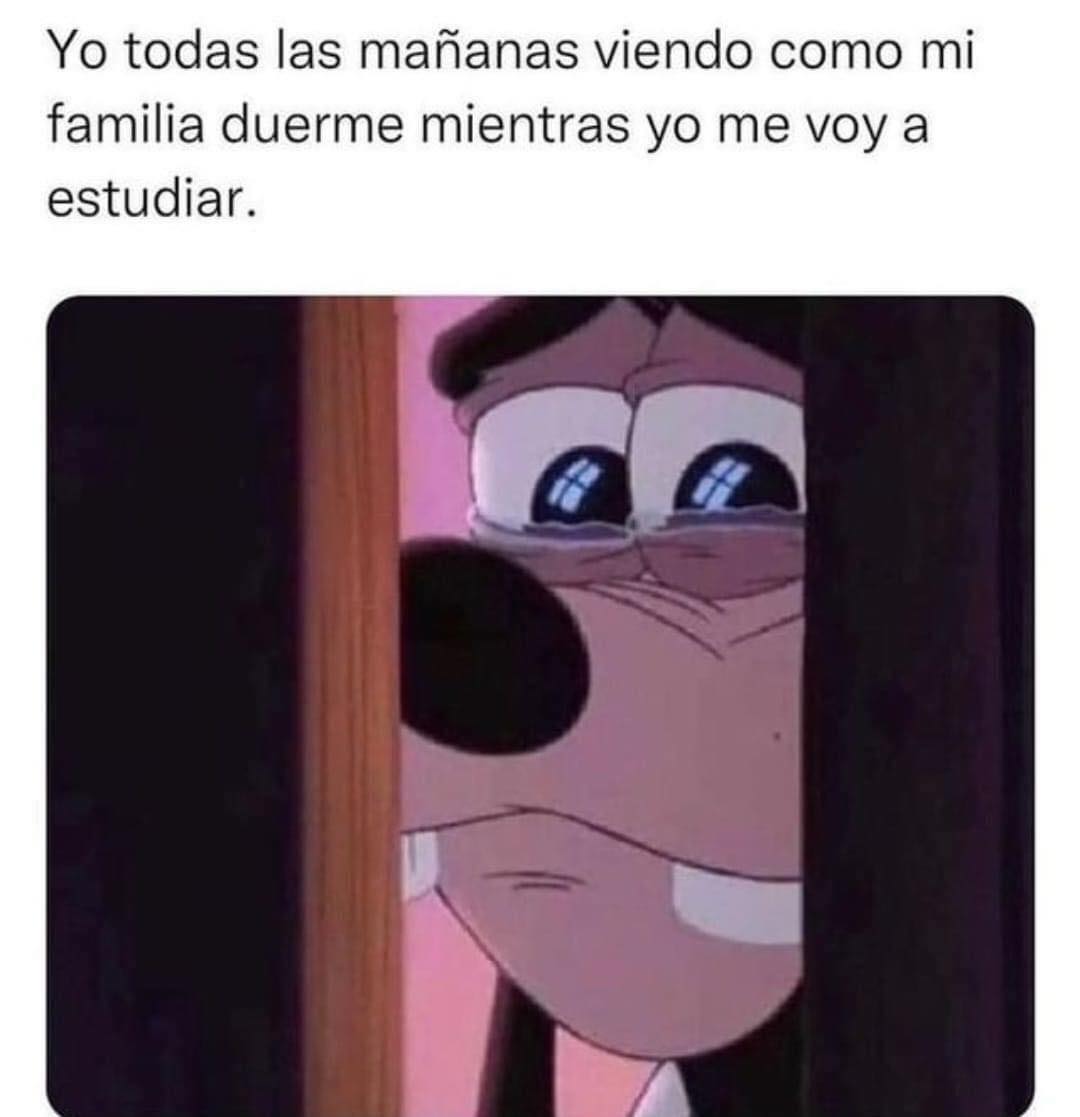 Yo Todas Las Ma Anas Viendo Como Mi Familia Duerme Mientras Yo Me Voy A Estudiar Memes