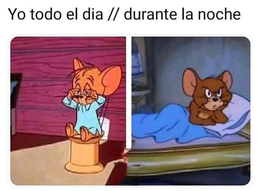 Yo todo el dia. // Durante la noche.