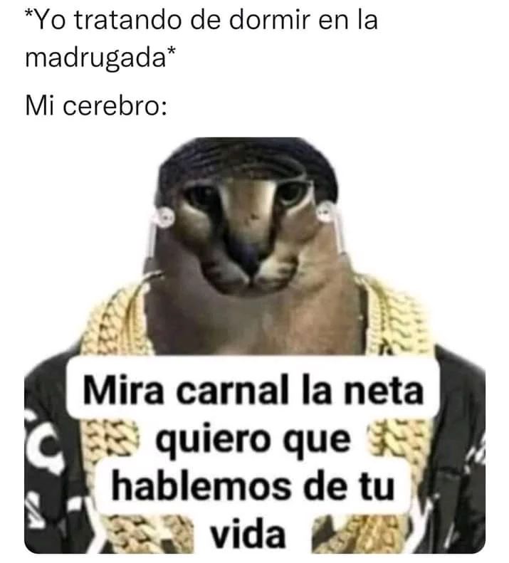 *Yo tratando de dormir en la madrugada* Mi cerebro: Mira carnal la neta quiero que hablemos de tu vida.