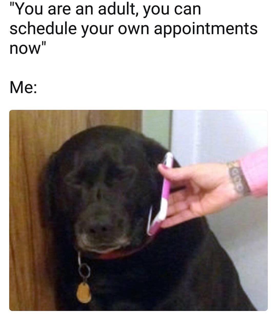 "You are an adult, you can schedule your own appointments now". Me: