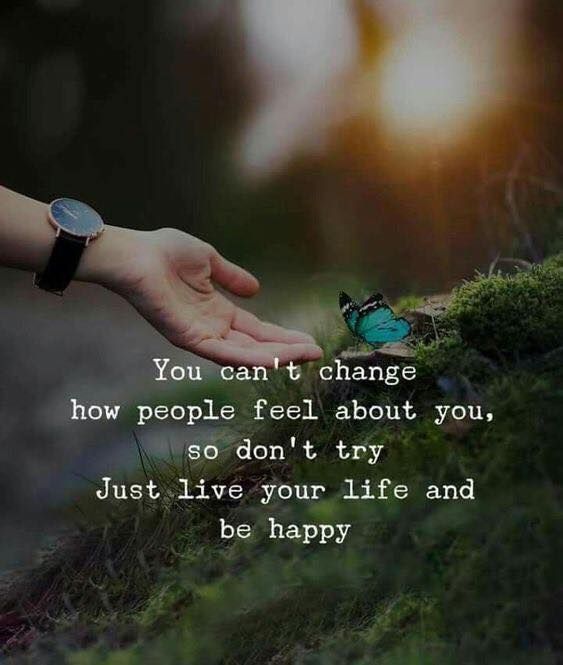You can't change how people feel about you, so don't try. Just live your life and be happy.
