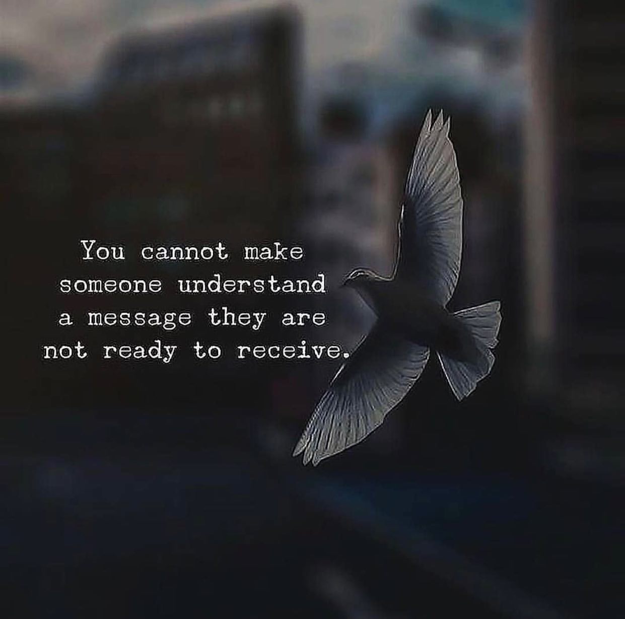 You cannot make someone understand a message they are not ready to receive.