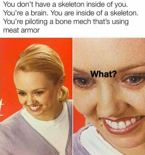 You don't have a skeleton inside of you. You're a brain. You are inside of a skeleton. You're piloting a bone mech that's using meat armor. What?