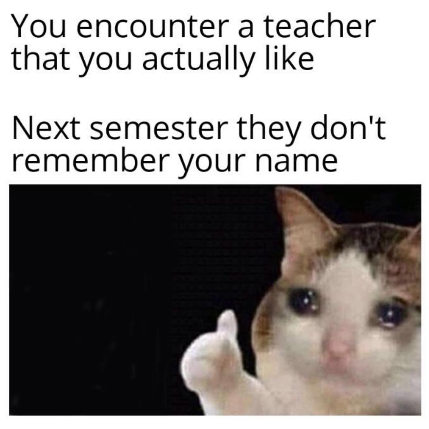 You encounter a teacher that you actually like.  Next semester they don't remember your name.