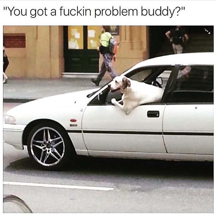 You got a fuckin problem buddy?