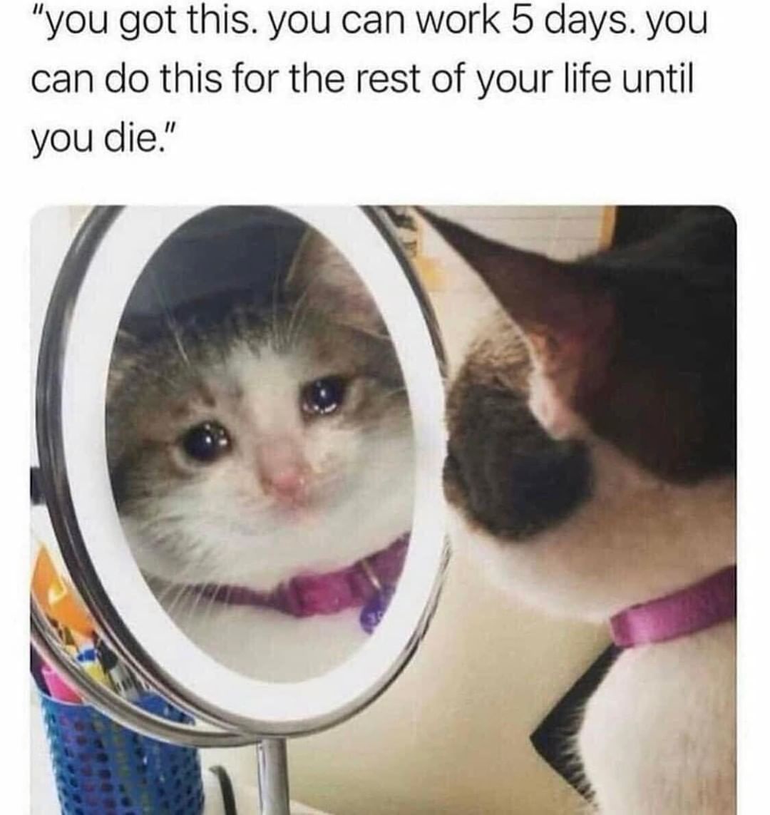 You Got This You Can Work 5 Days You Can Do This For The Rest Of Your 