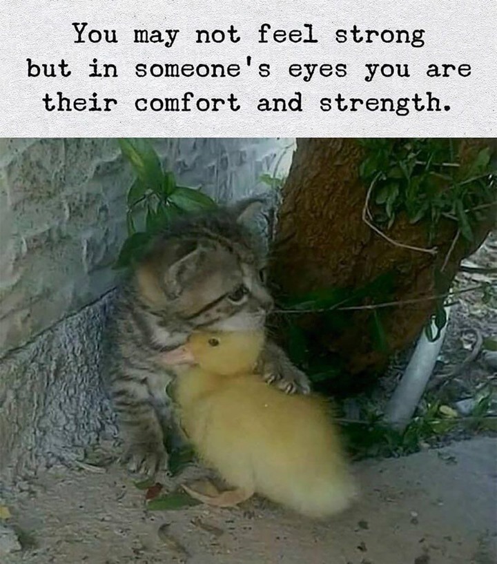 You may not feel strong but in someone's eyes you are their comfort and strength.