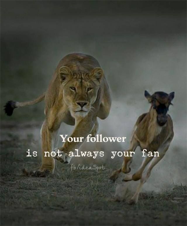 Your follower is not always your fan.