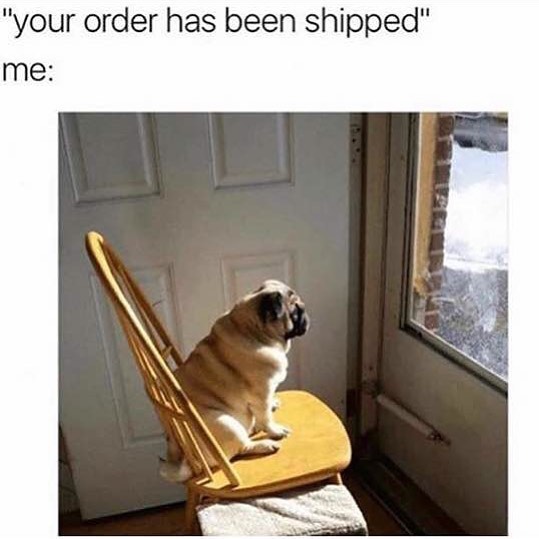 "Your order has been shipped" Me: