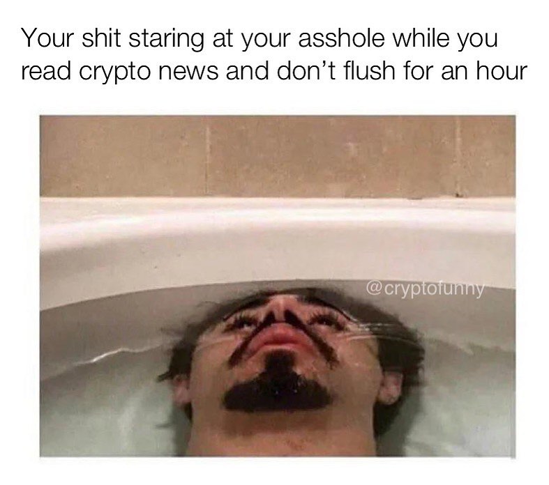 Your shit staring at your asshole while you read crypto news and don't flush for an hour.
